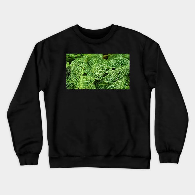 Green Leaves with White Veins Crewneck Sweatshirt by KaSaPo